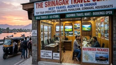 Best Travel Agents in Srinagar