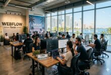 Web Development Company Florida