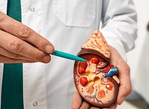 Ayurvedic Doctor in India