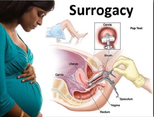Surrogacy Process in India