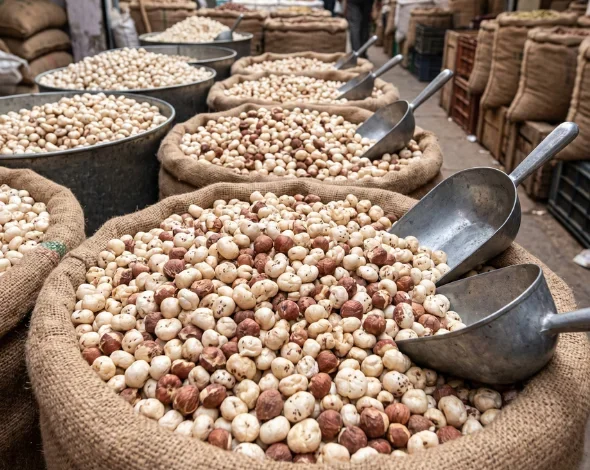 makhana exporter in india