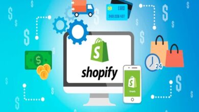 Custom Shopify App Development