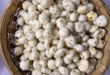 Makhana manufacturer in Bihar