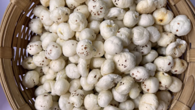 Makhana manufacturer in Bihar