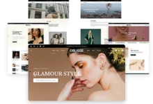 Best Shopify Theme for Ecommerce