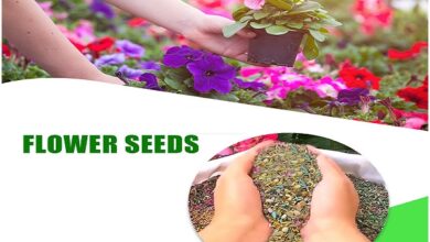 Flower Seeds​