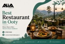 Best Restaurant in Ooty