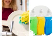 Dishwash Fragrance Exporter