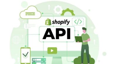 Shopify API Integration