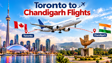 Toronto to Chandigarh Flights