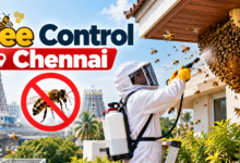Bee Control Chennai