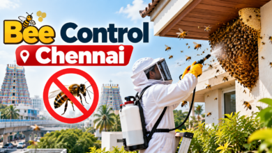 Bee Control Chennai