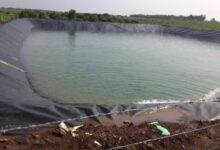 Liner for Agriculture Pond