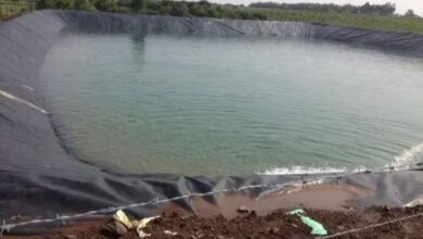 Liner for Agriculture Pond