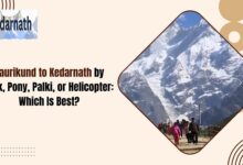 Gaurikund to Kedarnath