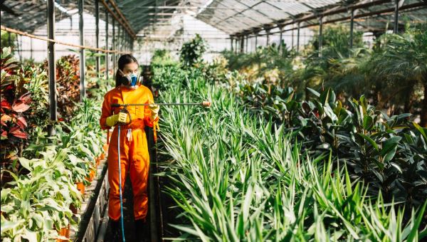 Industrial Pest Control​ in Jaipur
