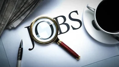 Ceramic Morbi Job Placement